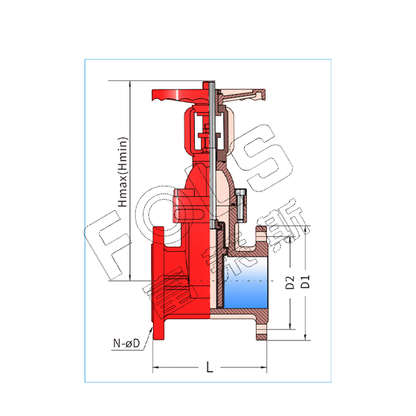 Rising stem elastic seat gate valve